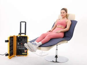 Dispositif de thérapie de champ électromagnétique pulsé Pemf Tapis de thérapie Pemf Dispositif de thérapie magnétique Pemf pour chevaux avec boucle de bobine - Product Image 4