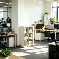 Meuble de rangement de bureau classique et durable à 6 compartiments ouverts, en acier laminé à froid thermolaqué, pour poste de travail ou cloison de bureau