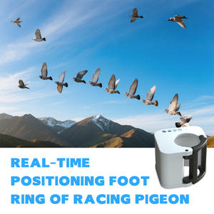 Traceur GPS pour oiseaux, pigeon, perroquet, <span class=keywords><strong>aigle</strong></span>, positionnement en temps réel, entraînement de course de pigeons, puce de suivi GPS, bague de pied - Product Image 2