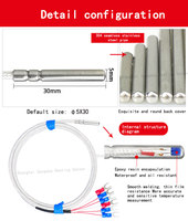 Songdao 4*30mm Probe Flexible PT100 RTD Temperature Sensor 0.1C Resolution 6-wire PTFE Cable 200 OEM ODM IP68 Stainless Steel
