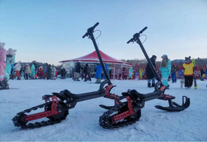 Scooter électrique 3 en 1 <span class=keywords><strong>pour</strong></span> adultes, luge à neige, <span class=keywords><strong>ski</strong></span>, 2000w, 48v, 19.2ah, démarrage au pied, pneus de 11 pouces, prise en charge de l'application, hiver, Canada, Russie - Product Image 4