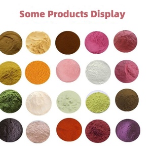 Halal Nhà máy cung cấp củ cải đỏ lá và chiết xuất từ rễ bột - Product Image 5