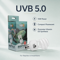 Luckyherp T4 15W UVB5.0 7000K Lampe fluorescente compacte en verre spirale écologique avec une durée de vie de 8000 heures pour les reptiles