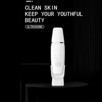 Appareil de nettoyage facial professionnel en profondeur, nouveau, avec prise USB, outil de soin de la peau pour éliminer les peaux mortes et nettoyer les pores