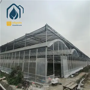 Low Cost Commercial Vertical Farming Hydroponic System Greenhouse