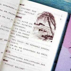 经典诗歌青少年读物套装 书歌 三百首唐/宋/词/元诗 经典山海-课外阅读 - Product Image 3