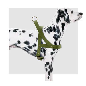 クイックリリースバックル防水調節可能プル無しPvc Y字型犬用ハーネスペット用簡単ウォーキングトレーニングランニング - Product Image 2