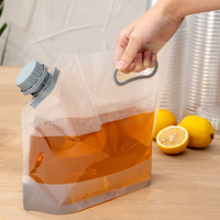 Vente en gros de sacs à eau en plastique 5L 8L 10L de matériaux de qualité alimentaire sans BPA sacs à eau gallon