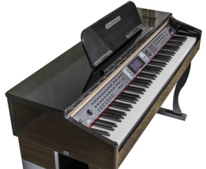 MUESTRA GRATUITA Piano Digital Profesional de 88 Teclas en Oferta en China, Piano Digital Mejorado - Product Image 5
