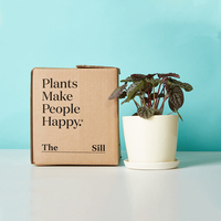 Emballage en carton personnalisé imprimé, boîte de transport pour plantes vivantes en pot, boîte de transport pour plantes succulentes, boîte de transport pour plantes