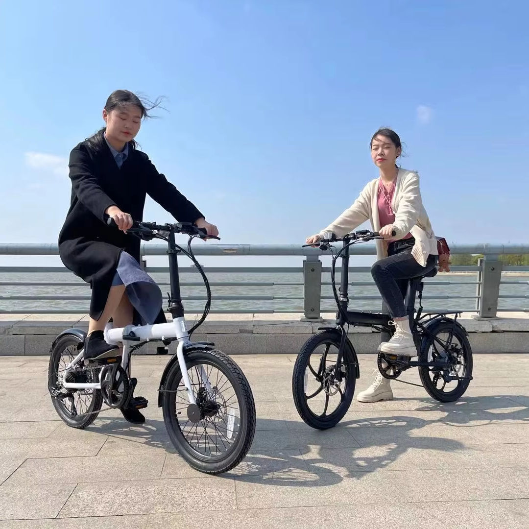 BMW Folding Bike 20