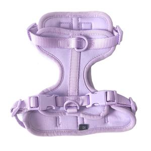 Pettorina per <span class=keywords><strong>Cani</strong></span> MiaPeta Senza Trazione, Regolabile, in Morbida Rete Imbottita con Guinzaglio in Gomma per <span class=keywords><strong>Cani</strong></span> Piccoli, Medi e Grandi - Product Image 1