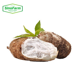 Taro frais, légume alimentaire, exportation de taro, <span class=keywords><strong>dasheen</strong></span>, Chine - Product Image 5