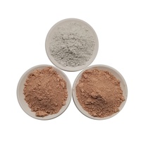 Métakaolin pour des expériences d'activation alcaline dans le béton de ciment à haute performance