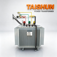 Transformateur de distribution de puissance triphasé immergé dans l'huile Taishun S11 63KVA 50/60Hz 6.3kV 10kV