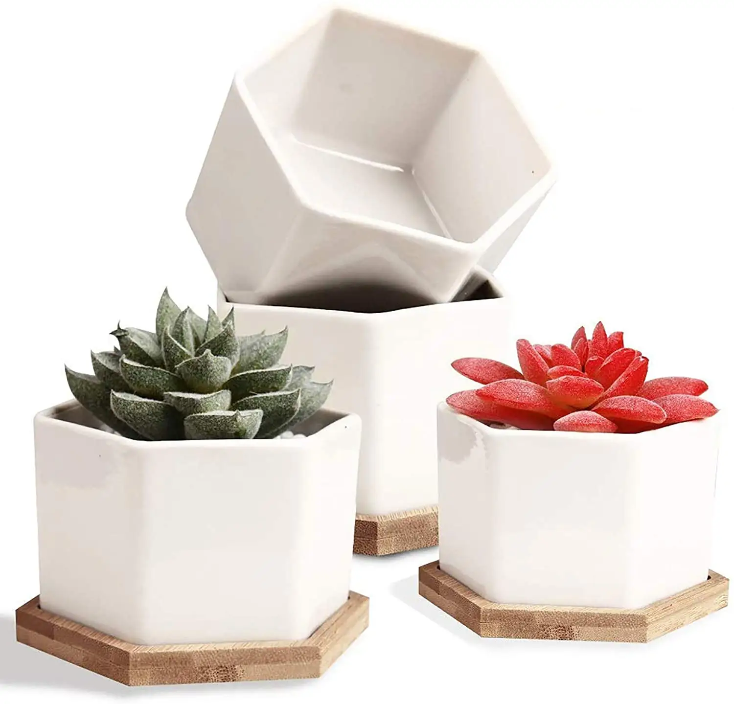 Pot Sukulen 4 Inci Tanaman Kaktus, Pot Tanaman Kaktus Sukulen Keramik Putih dengan Tanaman Nampan Bambu Tidak Termasuk
