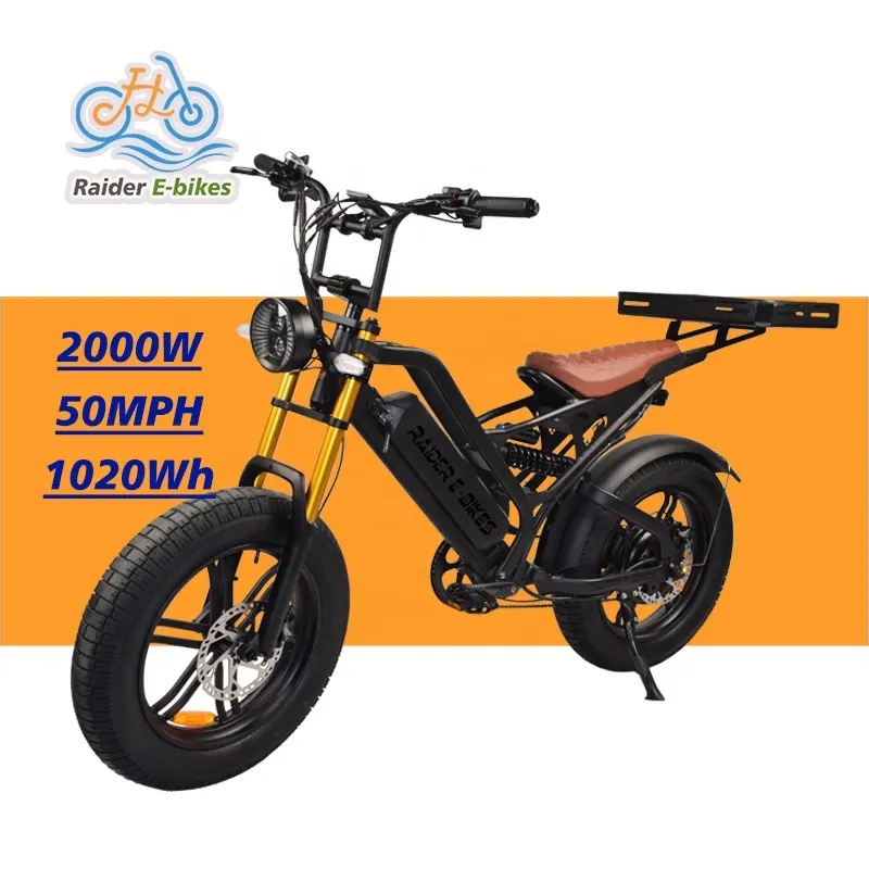 Süper güç kir bisiklet 20 inç Fatbike elektrikli bisiklet 60V e-moped 2000w 45-50MPH lityum pil elektrikli motosiklet