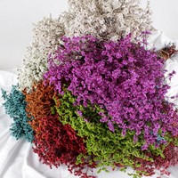 Arrangement de Bouquet de Fleurs Séchées Préservées, Herbe de Cristal Éternel, Fleurs Décoratives pour la Maison pour la Fête des Mères