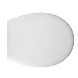 Asiento de Inodoro Termoestable D031 Forma 1 Blanco 48 cm de Largo 39 cm de Ancho 5 cm de Alto - Product Image 1