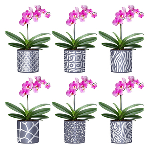 Planta Artificial YICAI, Bonsái de Imitación con Patrón de Cemento, con Maceta de Plástico, <span class=keywords><strong>Macetas</strong></span> de Planta Artificial - Product Image 1