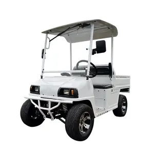 Grosir tren baru skuter mobilitas truk Pickup elektrik kereta Golf Mini