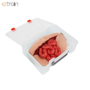Simulador de Evisceración Abdominal Portátil con Simulador de Intestino <span class=keywords><strong>y</strong></span> Entrenador de Aplicación de Pansamentos para Ciencias Médicas - Product Image 5