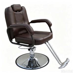 Head Pillow Hair Salon <b>Chair</b>, Stainless Steel Disc Chassis with Foot Pedal Hair Salon Hair Cutting Seat - Product Image 4