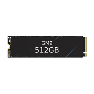 قرص صلب GM9 بسعة 512 جيجابايت من نوع M.2 2280، PCIe 5.0 NVMe 2.0، سرعة قراءة وكتابة فائقة، ذاكرة تخزين مؤقتة SLC مدمجة وذاكرة فلاش TLC NAND قوية - Product Image 1