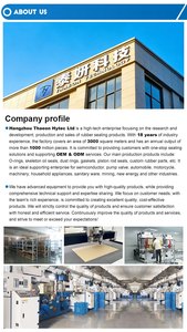 Joints toriques personnalisés en caoutchouc NBR, FFKM, FKM, FPM, EPDM, PU, Silicone, résistants <span class=keywords><strong>à</strong></span> la chaleur, pour moulage carré, <span class=keywords><strong>joint</strong></span> plat - Product Image 5
