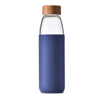 Bouteille d'eau en verre borosilicate de haute qualité avec manchon en silicone de 550 ml et couvercle en bambou – Offre spéciale