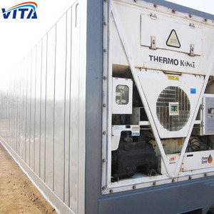 Hiqh Chất Lượng <span class=keywords><strong>20</strong></span> Feet <span class=keywords><strong>New</strong></span> Reefer <span class=keywords><strong>Container</strong></span>/Lạnh <span class=keywords><strong>Container</strong></span> Để Bán Tại Trung Quốc - Product Image 5