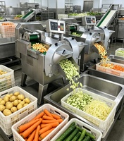 Elektrische groentesnijmachine 300-600kg/u Automatische roestvrijstalen groentesnijder voor hotel- en cateringkeukens