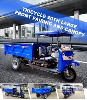 Véhicule à trois roues diesel pour le transport de charges, le transport de matériaux, la logistique et le déblaiement sur les chantiers agricoles et de construction