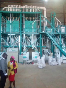 เครื่องโม่แป้งบดเมล็ดข้าวโพด,เครื่องโม่แป้งเครื่องทำข้าวโพดข้าวโพด - Product Image 3