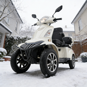 Energy-saving electric scooter /with seat backrest/20Ah lead-acid battery/Vista Quater-L1/for the elderly - Product Image 1