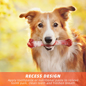 Juguete de Hueso para Masticar para Perros de Nailon Resistente con Huesos Reales de AFP, Alivio de la Ansiedad, Juguete para Masticar de Larga Duración para Perros Mordedores Agresivos - Product Image 3