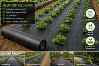 Toile de paillage robuste 110 g/m² stabilisée anti-UV, rouleau de couverture de sol agricole, tapis de contrôle des adventices 2x100m, couverture de sol pour verger