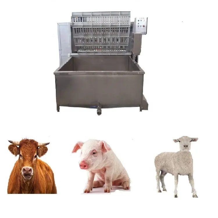 सभी उद्योगों सुअर भेड़ मवेशी वॉशिंग मशीन गाय unhairing मशीन बिक्री के लिए