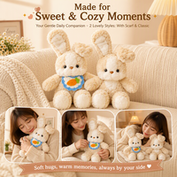 Bonne Nuit, Lapinou en Peluche : Services OEM/ODM, Jouets Doux et Cuddly Personnalisés, Mascotte, Cadeaux de Fêtes pour Enfants
