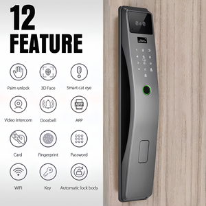 Smart Face Recognition Door <b>Lock</b> With Wi-Fi Cloud Storage Stainless Steel Grade C Security For Steel Door - Product Image 6