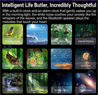 Planétarium intelligent Projecteur d'étoiles Veilleuse pour enfants Galaxies 3D Voie lactée Sommeil Musique Corps ABS Source de lumière LED Voix Blanc