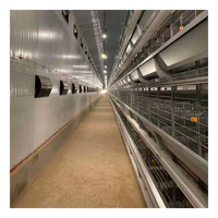 China Melhor Fornecedor Quadro da Camada de Gaiolas para Galinhas de Ovos de Aço Projeto de Construção Da Casa de Fazenda de Aves Para Venda