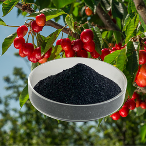 Bio-stimulant minéral en flocons, fulvate de potassium, <span class=keywords><strong>engrais</strong></span> stimulant la capacité antioxydante pour les aubergines, les courgettes, les gombo et les asperges - Product Image 4