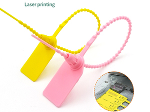 Scellés de sécurité en plastique de 250 mm avec étiquette suspendue pour extincteur, logistique express, avec impression personnalisée du logo et du numéro - Product Image 4