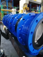 Vanne papillon à engrenages D341XQ en fonte ductile avec tête à engrenages, joint EPDM, disque 304, PN10 PN16, pour le contrôle industriel de l'eau