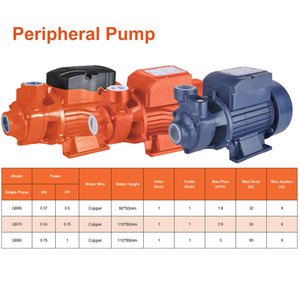 QB 60 Series 1HP Portable Vertical Iron/Stainless Steel/Cast Iron Booster <strong>Pump</strong> Small Surface <strong>Water</strong> Turbine <strong>Pumps</strong> Low Clean <strong>Water</strong> - Product Image 3