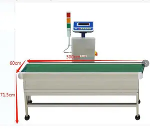 Machine de contrôle de poids en ligne de précision, avec échelle numérique, convoyeur automatique, contrôleur à bande, pour les aliments industriels, nouveau,