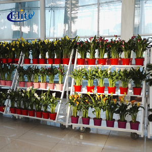 Chariots de jardinage en acier pour plantes et fleurs à quatre roues - Product Image 6