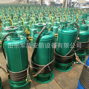 Pompe submersible anti-explosion pour drainage de sable Bqs Mine Bqs80-100/2-45kw 660v380 pour utilisation dans les mines - Product Image 1