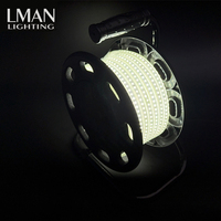 Bande lumineuse LED SMD2835 en PVC étanche IP65 pour extérieur, haute tension, 120 LED, 8W, CRI>83, pour chantiers industriels, tunnels, mines